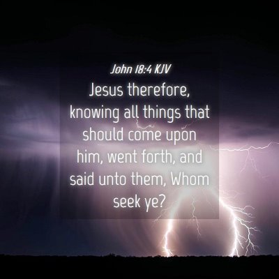 Picture 04 - John 18:4 KJV - Jesus therefore, knowing all things that should - Bible Verse Picture