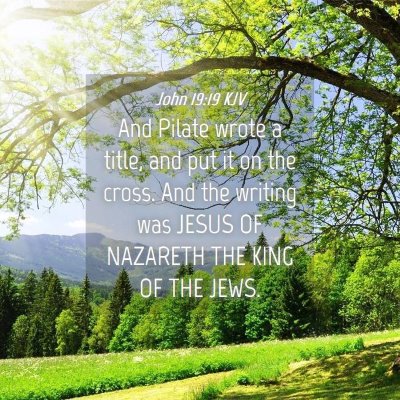 Picture 04 - John 19:19 KJV - And Pilate wrote a title, and put it on the - Bible Verse Picture