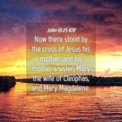 Picture 04 - John 19:25 KJV - Now there stood by the cross of Jesus his mother, - Bible Verse Picture