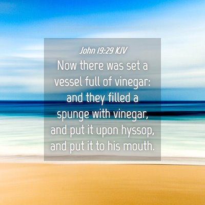 Picture 04 - John 19:29 KJV - Now there was set a vessel full of vinegar: and - Bible Verse Picture