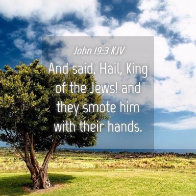 Picture 04 - John 19:3 KJV - And said, Hail, King of the Jews! and they smote - Bible Verse Picture