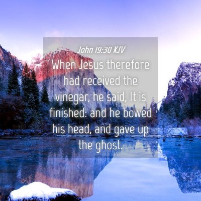 Picture 04 - John 19:30 KJV - When Jesus therefore had received the vinegar, he - Bible Verse Picture