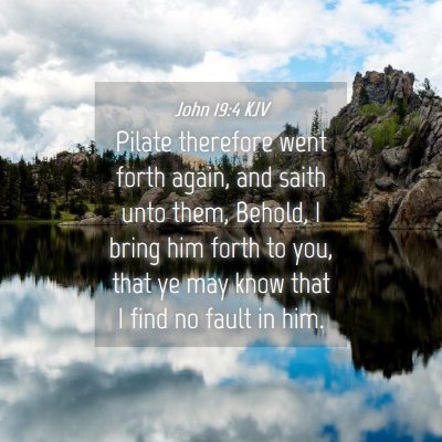 Picture 04 - John 19:4 KJV - Pilate therefore went forth again, and saith unto - Bible Verse Picture