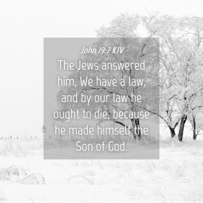 Picture 04 - John 19:7 KJV - The Jews answered him, We have a law, and by our - Bible Verse Picture
