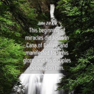 Picture 04 - John 2:11 KJV - This beginning of miracles did Jesus in Cana of - Bible Verse Picture
