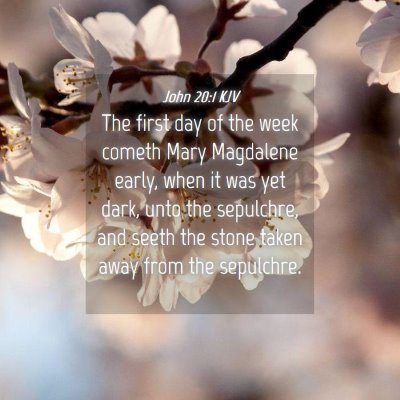 Picture 04 - John 20:1 KJV - The first day of the week cometh Mary Magdalene - Bible Verse Picture