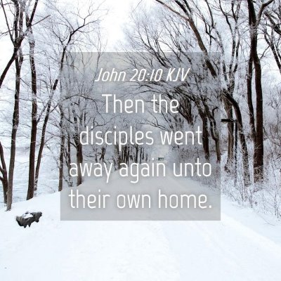 Picture 04 - John 20:10 KJV - Then the disciples went away again unto their own - Bible Verse Picture