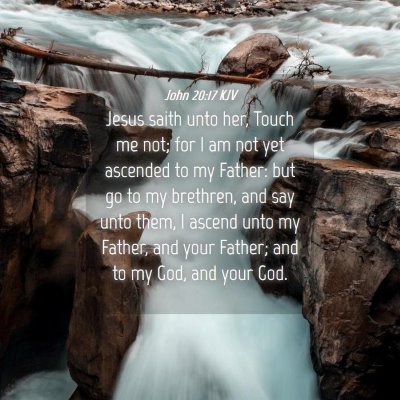 Picture 04 - John 20:17 KJV - Jesus saith unto her, Touch me not; for I am not - Bible Verse Picture