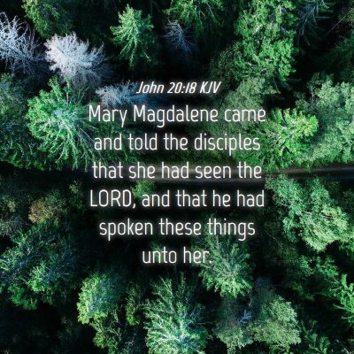 Picture 04 - John 20:18 KJV - Mary Magdalene came and told the disciples that - Bible Verse Picture
