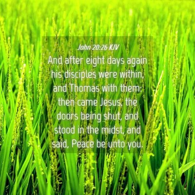 Picture 04 - John 20:26 KJV - And after eight days again his disciples were - Bible Verse Picture