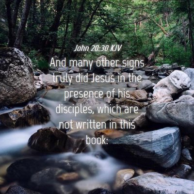 Picture 04 - John 20:30 KJV - And many other signs truly did Jesus in the - Bible Verse Picture
