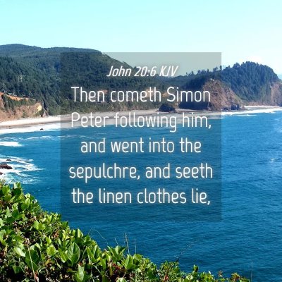 Picture 04 - John 20:6 KJV - Then cometh Simon Peter following him, and went - Bible Verse Picture