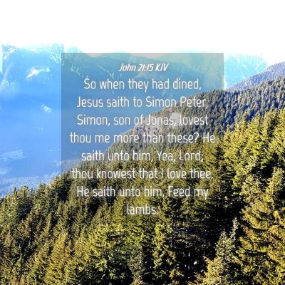 Picture 04 - John 21:15 KJV - So when they had dined, Jesus saith to Simon - Bible Verse Picture