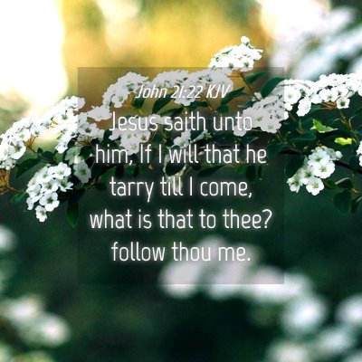 Picture 04 - John 21:22 KJV - Jesus saith unto him, If I will that he tarry - Bible Verse Picture