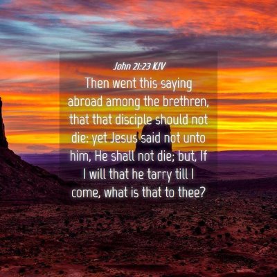 Picture 04 - John 21:23 KJV - Then went this saying abroad among the brethren, - Bible Verse Picture