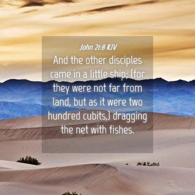 Picture 04 - John 21:8 KJV - And the other disciples came in a little ship; - Bible Verse Picture