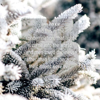 Picture 04 - John 3:19 KJV - And this is the condemnation, that light is come - Bible Verse Picture