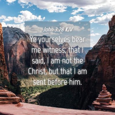 Picture 04 - John 3:28 KJV - Ye yourselves bear me witness, that I said, I am - Bible Verse Picture