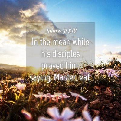 Picture 04 - John 4:31 KJV - In the mean while his disciples prayed him, - Bible Verse Picture