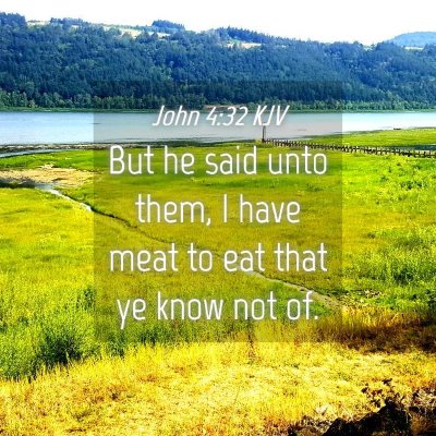 Picture 04 - John 4:32 KJV - But he said unto them, I have meat to eat that ye - Bible Verse Picture