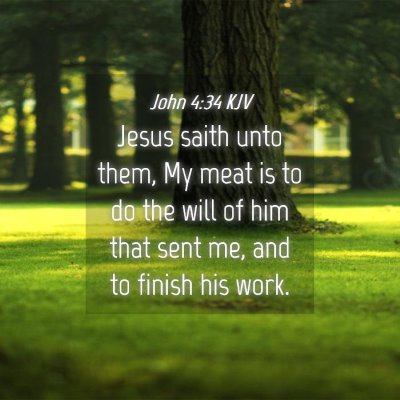 Picture 04 - John 4:34 KJV - Jesus saith unto them, My meat is to do the will - Bible Verse Picture