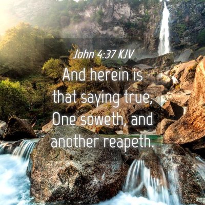 Picture 04 - John 4:37 KJV - And herein is that saying true, One soweth, and - Bible Verse Picture