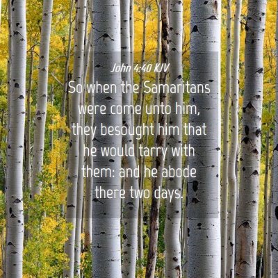 Picture 04 - John 4:40 KJV - So when the Samaritans were come unto him, they - Bible Verse Picture