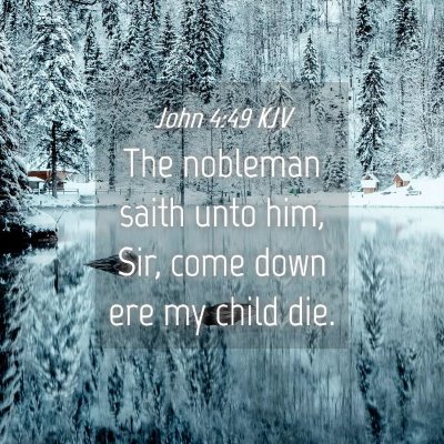 Picture 04 - John 4:49 KJV - The nobleman saith unto him, Sir, come down ere - Bible Verse Picture