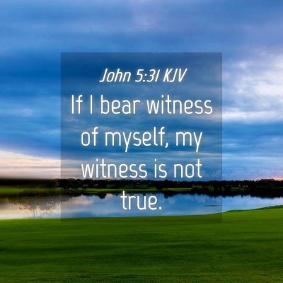 Picture 04 - John 5:31 KJV - If I bear witness of myself, my witness is not - Bible Verse Picture