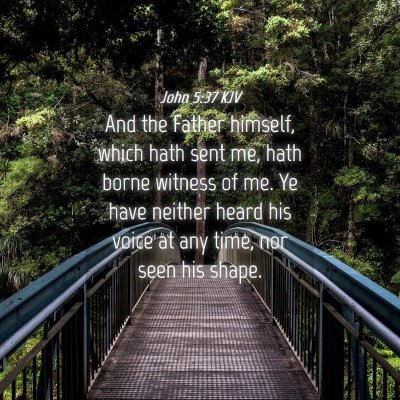 Picture 04 - John 5:37 KJV - And the Father himself, which hath sent me, hath - Bible Verse Picture