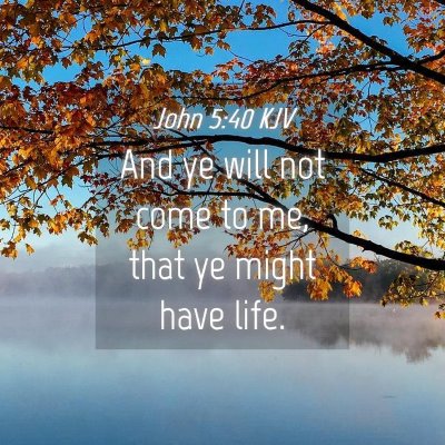 Picture 04 - John 5:40 KJV - And ye will not come to me, that ye might have - Bible Verse Picture