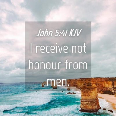 Picture 04 - John 5:41 KJV - I receive not honour from - Bible Verse Picture
