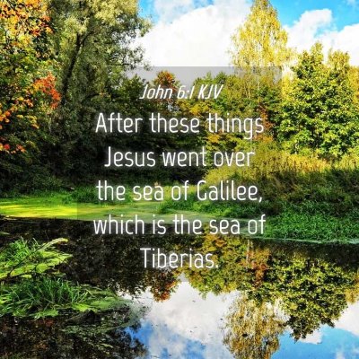 Picture 04 - John 6:1 KJV - After these things Jesus went over the sea of - Bible Verse Picture