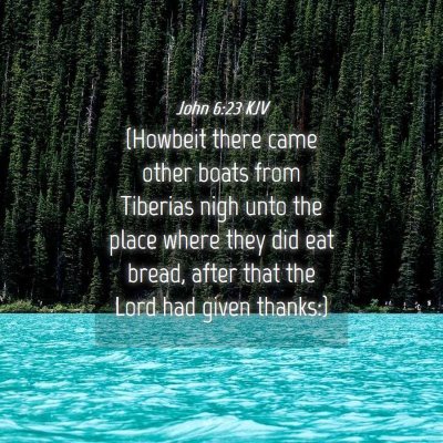 Picture 04 - John 6:23 KJV - (Howbeit there came other boats from Tiberias - Bible Verse Picture