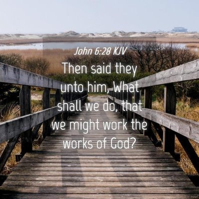 Picture 04 - John 6:28 KJV - Then said they unto him, What shall we do, that - Bible Verse Picture