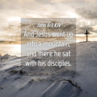 Picture 04 - John 6:3 KJV - And Jesus went up into a mountain, and there he - Bible Verse Picture