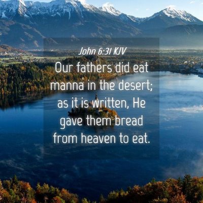 Picture 04 - John 6:31 KJV - Our fathers did eat manna in the desert; as it is - Bible Verse Picture