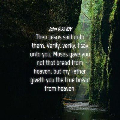 Picture 04 - John 6:32 KJV - Then Jesus said unto them, Verily, verily, I say - Bible Verse Picture