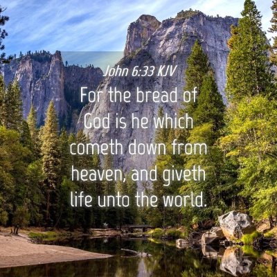 Picture 04 - John 6:33 KJV - For the bread of God is he which cometh down from - Bible Verse Picture