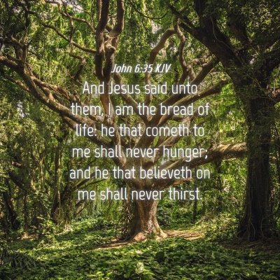 Picture 04 - John 6:35 KJV - And Jesus said unto them, I am the bread of life: - Bible Verse Picture
