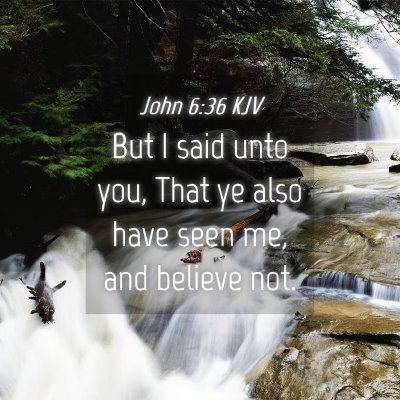 Picture 04 - John 6:36 KJV - But I said unto you, That ye also have seen me, - Bible Verse Picture