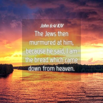 Picture 04 - John 6:41 KJV - The Jews then murmured at him, because he said, I - Bible Verse Picture