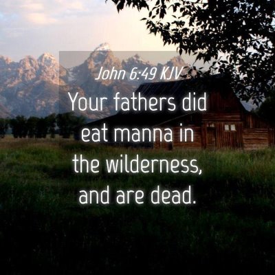 Picture 04 - John 6:49 KJV - Your fathers did eat manna in the wilderness, and - Bible Verse Picture