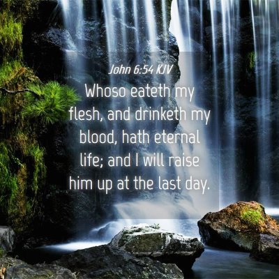 Picture 04 - John 6:54 KJV - Whoso eateth my flesh, and drinketh my blood, - Bible Verse Picture