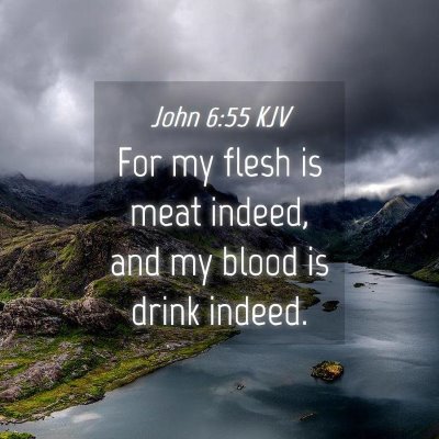 Picture 04 - John 6:55 KJV - For my flesh is meat indeed, and my blood is - Bible Verse Picture