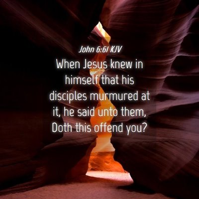 Picture 04 - John 6:61 KJV - When Jesus knew in himself that his disciples - Bible Verse Picture