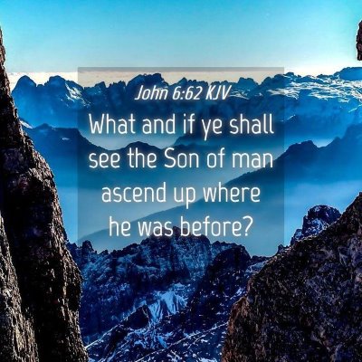 Picture 04 - John 6:62 KJV - What and if ye shall see the Son of man ascend up - Bible Verse Picture