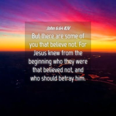 Picture 04 - John 6:64 KJV - But there are some of you that believe not. For - Bible Verse Picture