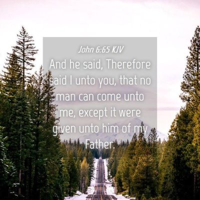 Picture 04 - John 6:65 KJV - And he said, Therefore said I unto you, that no - Bible Verse Picture