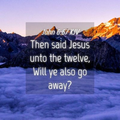 Picture 04 - John 6:67 KJV - Then said Jesus unto the twelve, Will ye also go - Bible Verse Picture